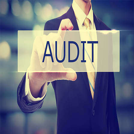 Audit Assistance